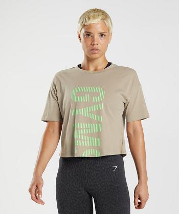 T Shirts Gymshark 315 Midi Mujer Marrones Verde Claro | CO 2281TCE